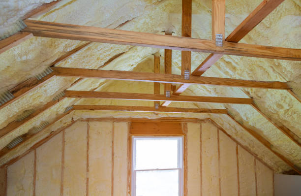 Best Blown-in Insulation  in Rayville, LA