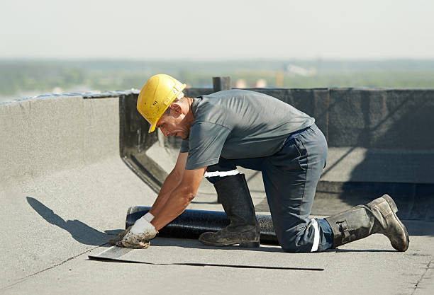 Best Professional Insulation Contractor  in Rayville, LA